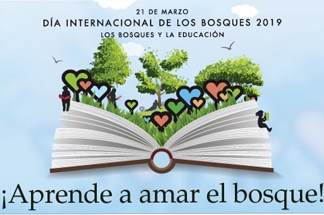 190321diainternacionalbosques2019 tcm30 505687