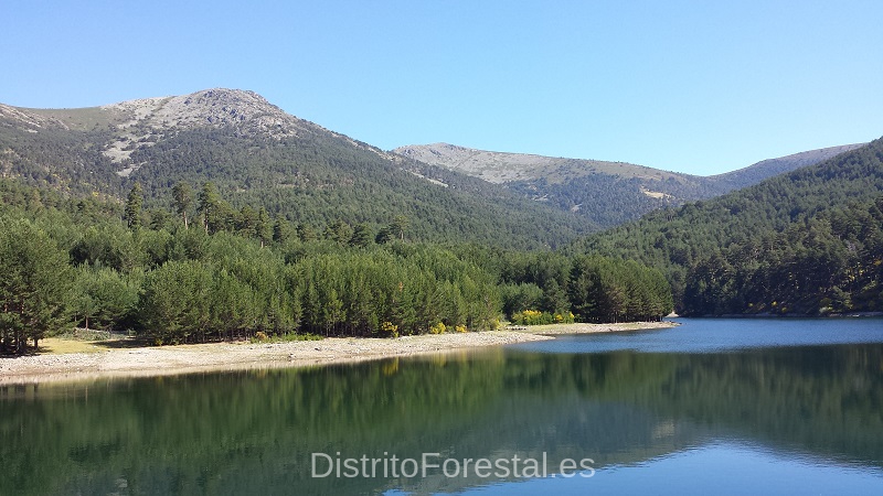 Monte de la Dehesa de la Gargantapub