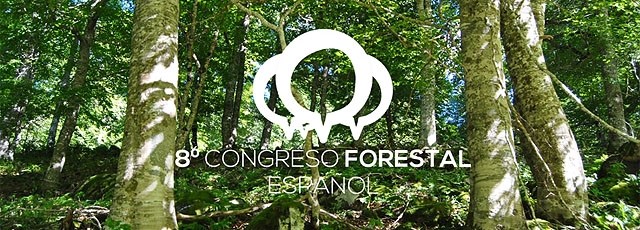 Apostar por la innovación, una mayor inversión en gestión forestal y la bioeconomía como modelo de desarrollo son las principales propuestas del 8º Congreso Forestal Español