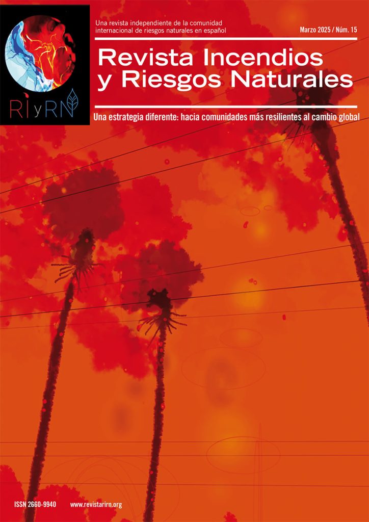 RIyRN 15 portada 724x1024