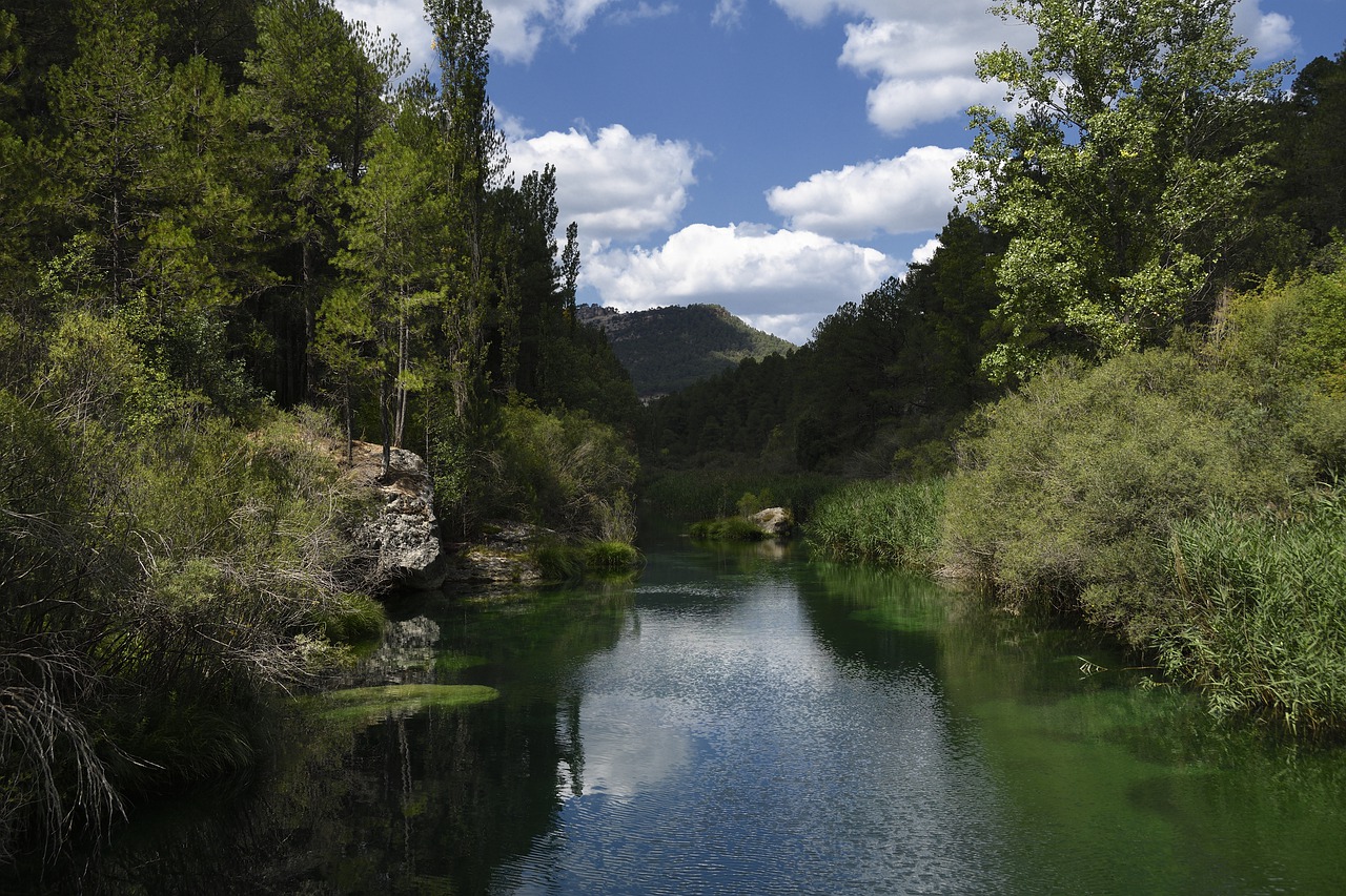 Rio Tajo