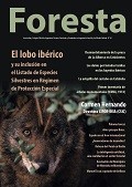 foresta 81