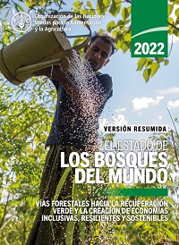 SOFO2022 InBrief ES web