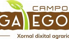 campo galego logo