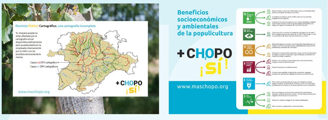 chopo INDFORMA