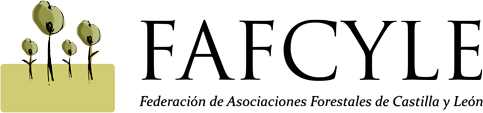 fafcyle logo horizontal2