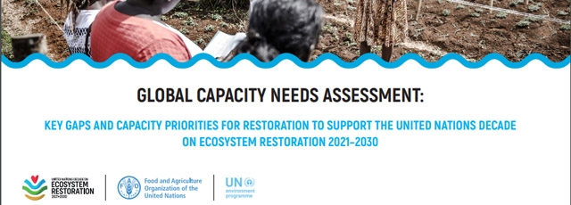 fao restoration survey