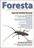 foresta 78