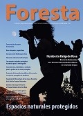 foresta 85