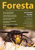foresta 90