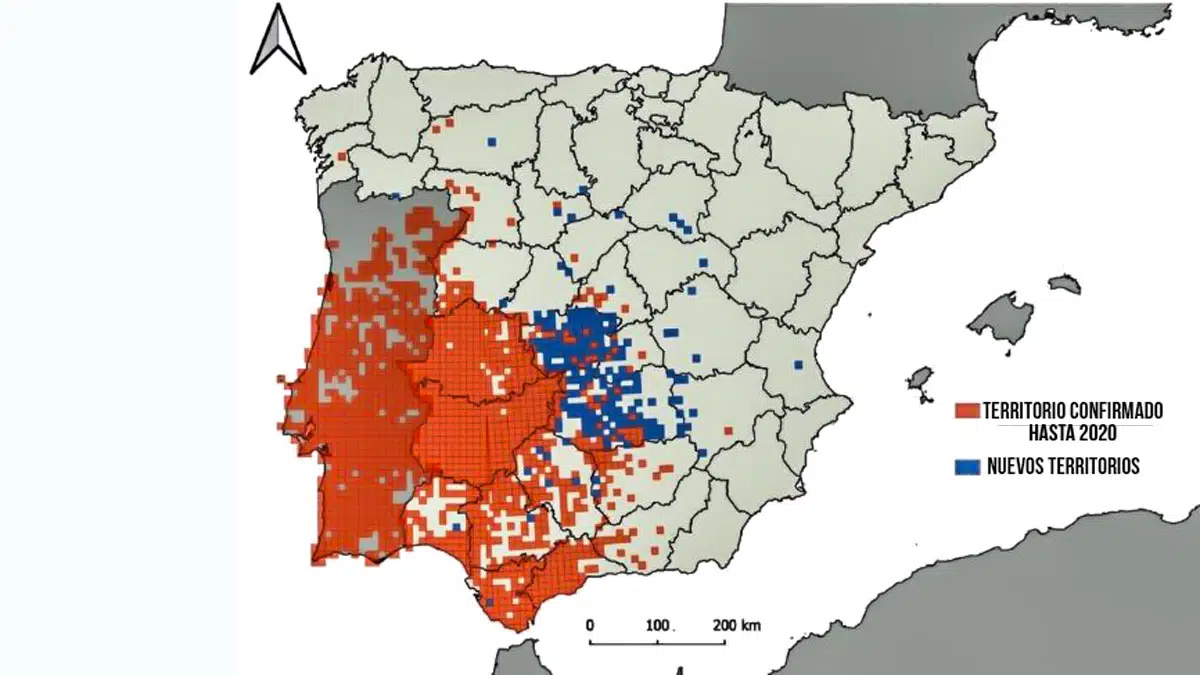 foto mapa distribucion meloncillo.jpg