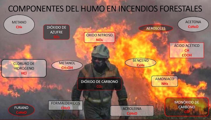 gases incendio forestal cgt brif osbo