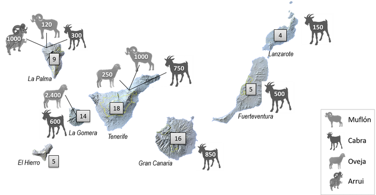 herbivoros dañinos en canarias