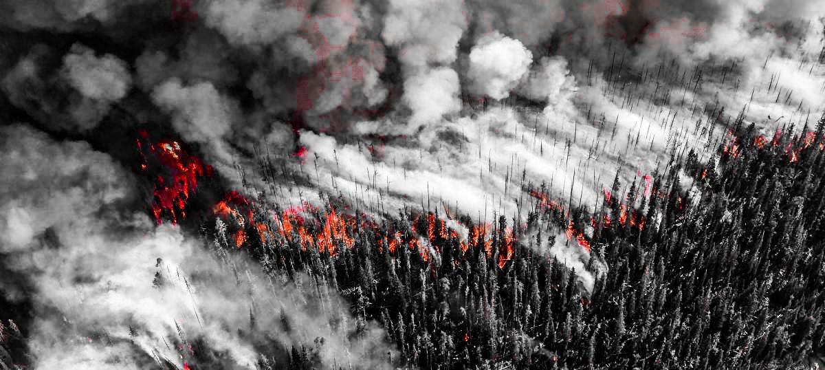 incendio forestal 5