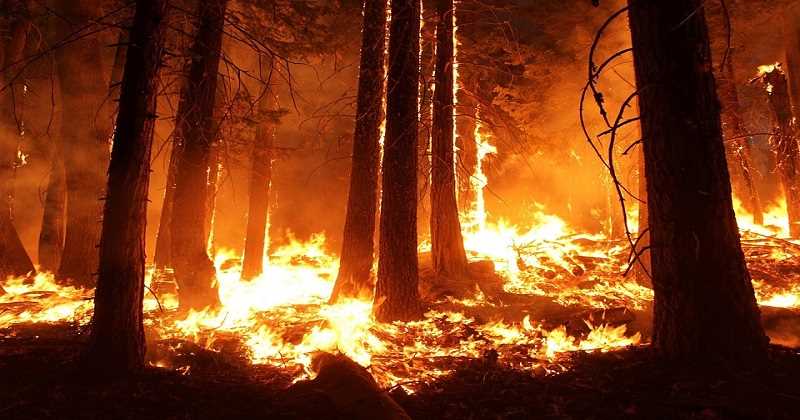 incendios2