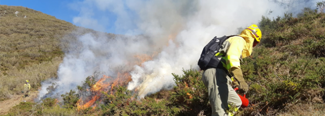 incendios indforma