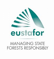 logo eustafor