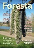 FORESTA 82