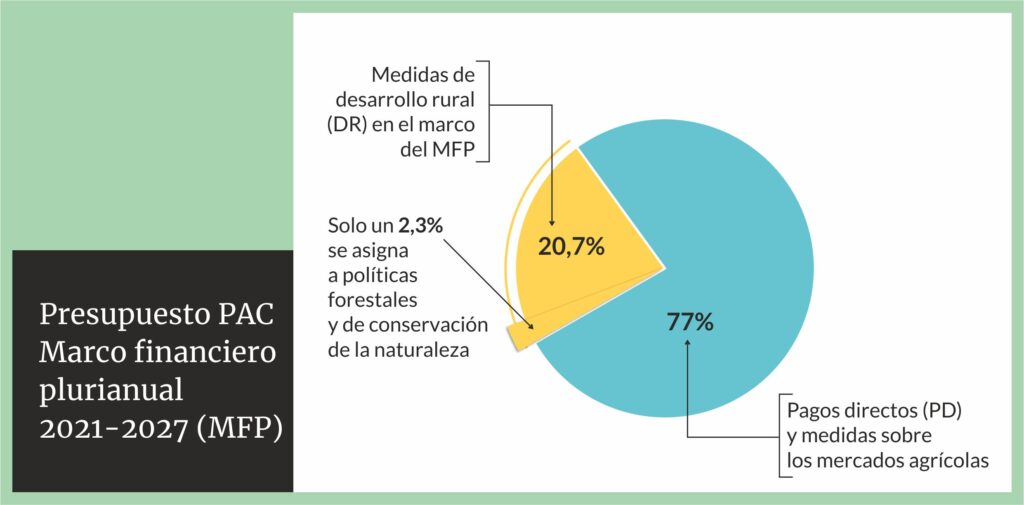 Presupuesto PAC 1024x505