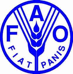 logo fao
