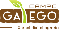 logotipo campogalego frase 300