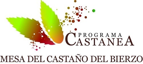 mesa castaño bierzo