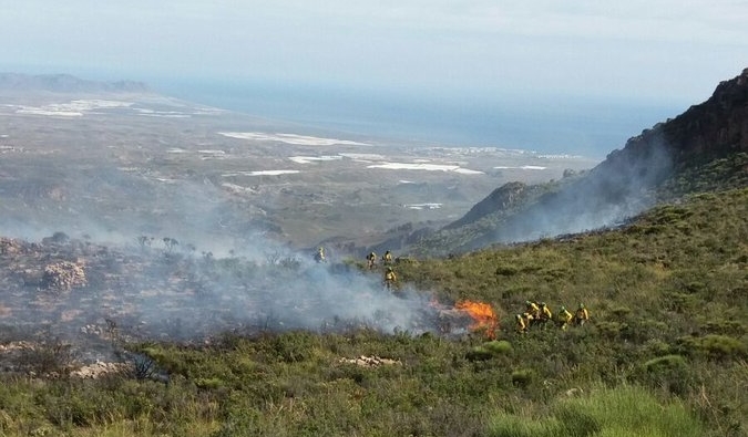 noticias de Almeria