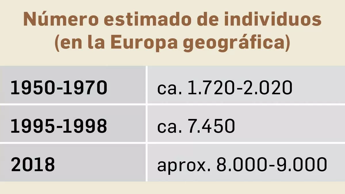 numero de linces jpg