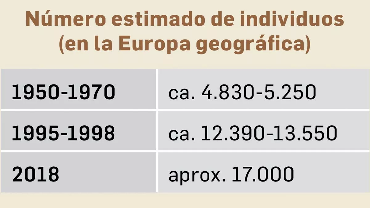 numero de lobos grises jpg