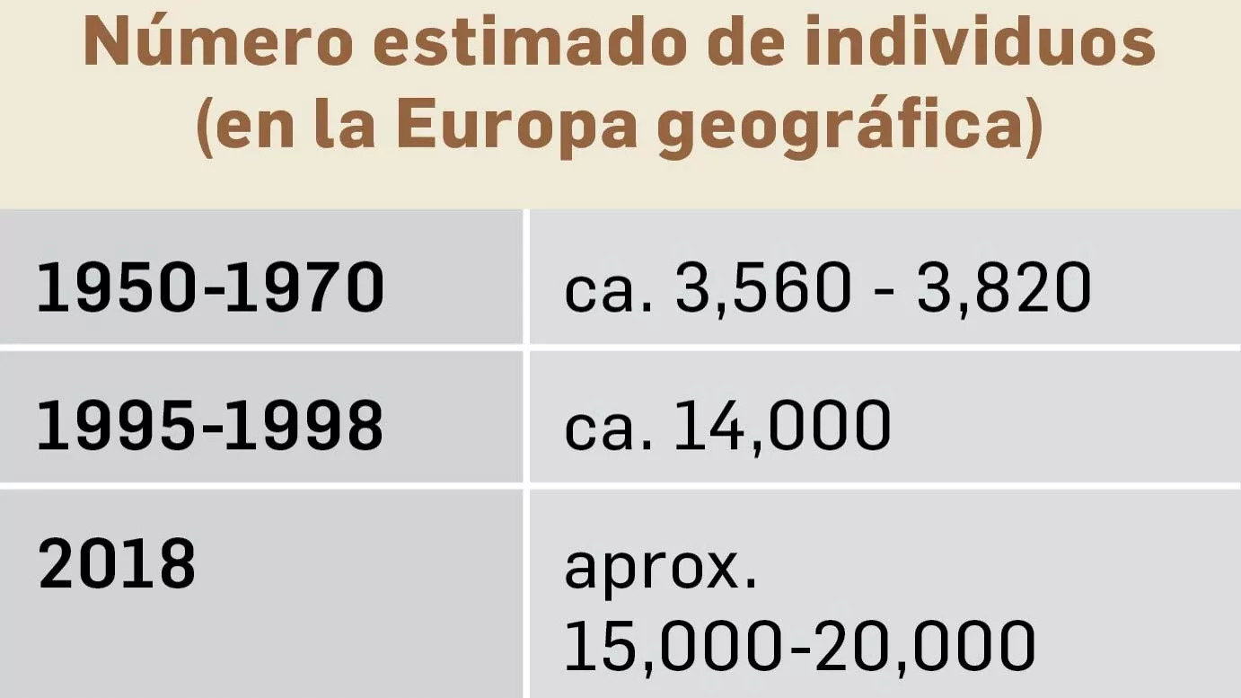 numero de osos pardos en europa jpg