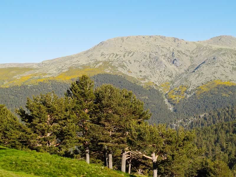 parque Guadarrama