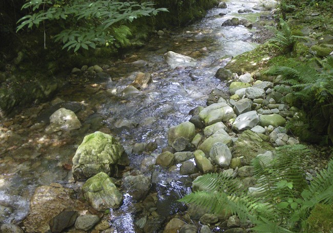 rio metales