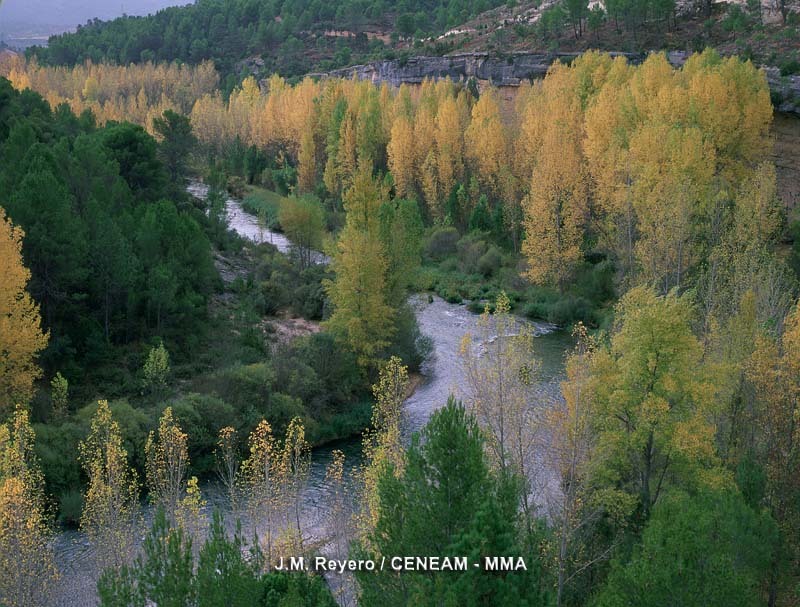 rio tajo tcm30 259193